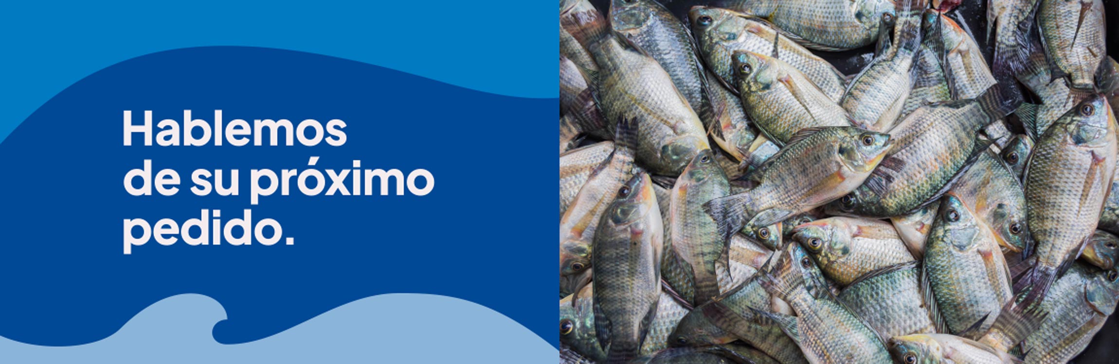Hablemos de su próximo pedido