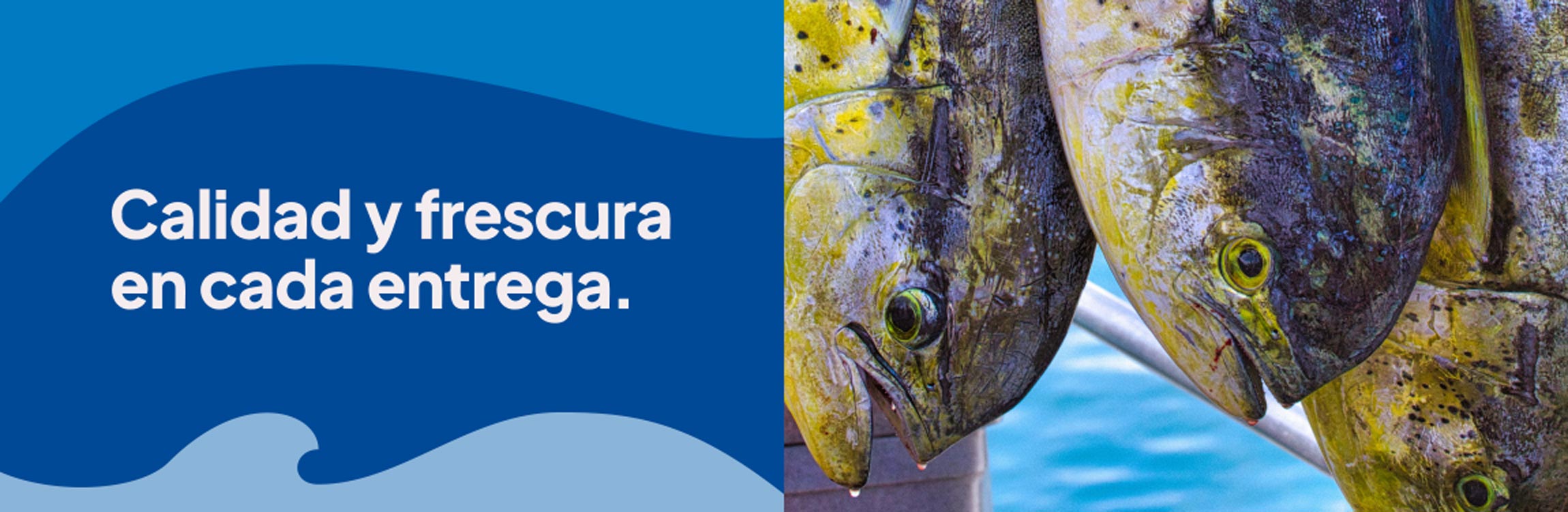 Calidad y frescura en cada entrega