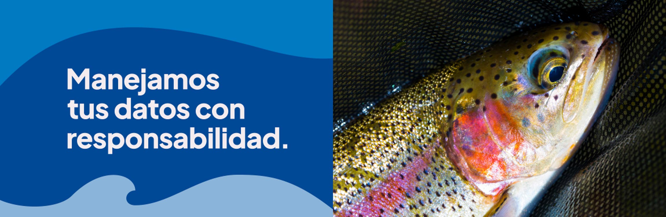 Manejamos tus datos con responsabilidad